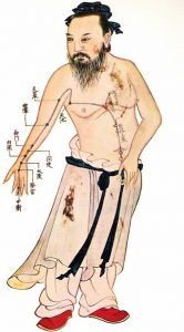 Comparable Acupuncture Theory